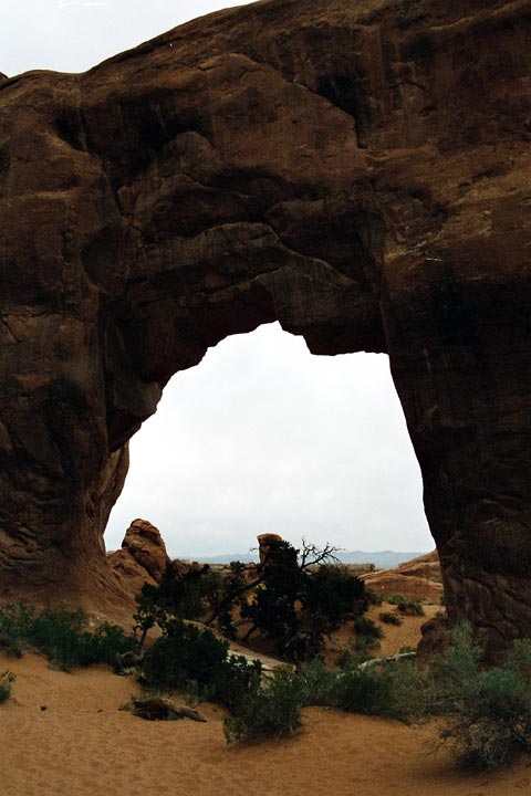 Pine Tree Arch im Arches National Park (10. Mai)