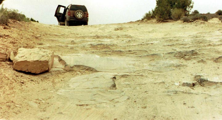 Arches National Park (10. Mai)
