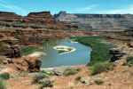 Colorado River von den Chicken Corners aus (8. Mai)