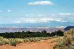 La Sal Mountains (12. Mai)