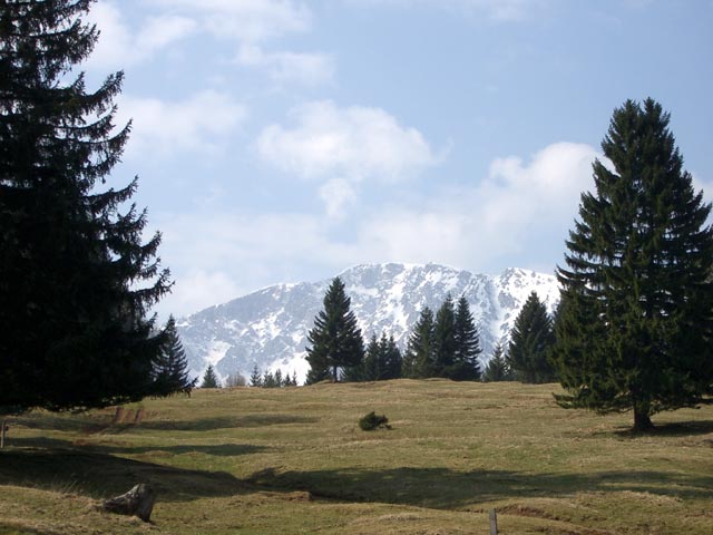 Schneeberg und Bäreneck