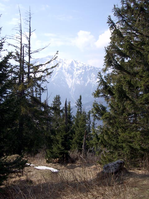 Schneeberg vom Schober aus