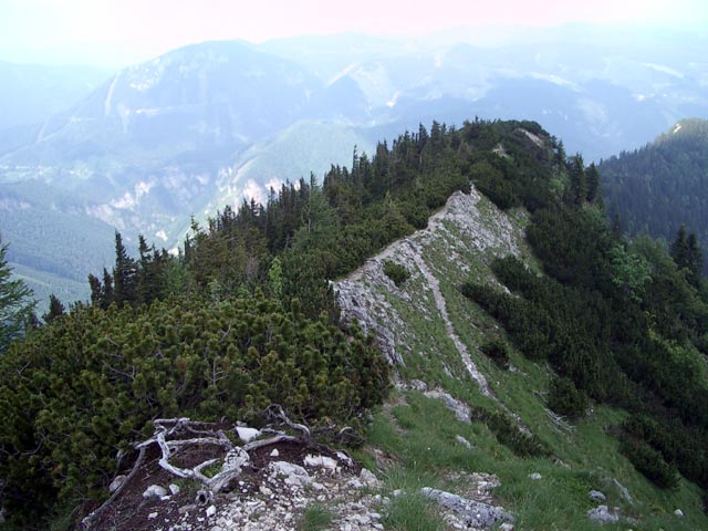 Ausläufer des Rauhen Kamms (30. Mai)