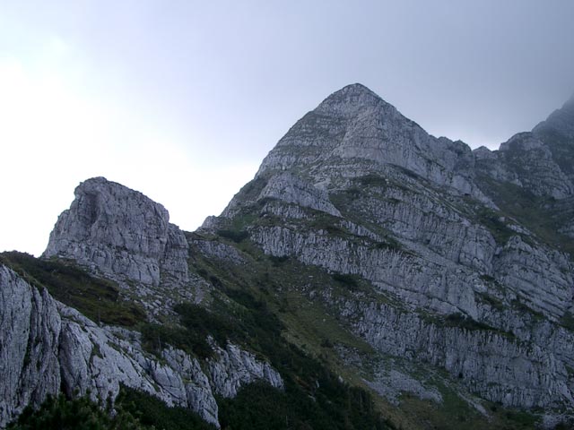 Rauher Kamm (30. Mai)