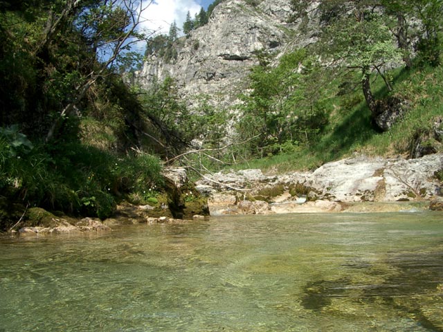 Ötscher Bach (31. Mai)