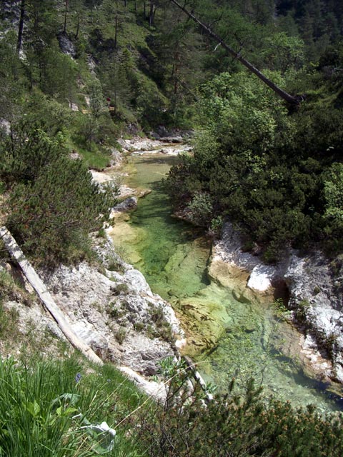 Ötscher Bach (31. Mai)