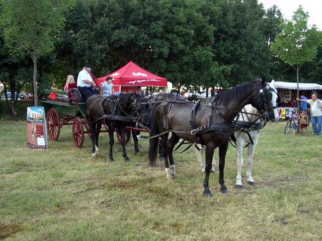 beim Badeteich Süßenbrunn
