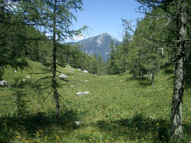 Ebnesangeralm (27. Juli)