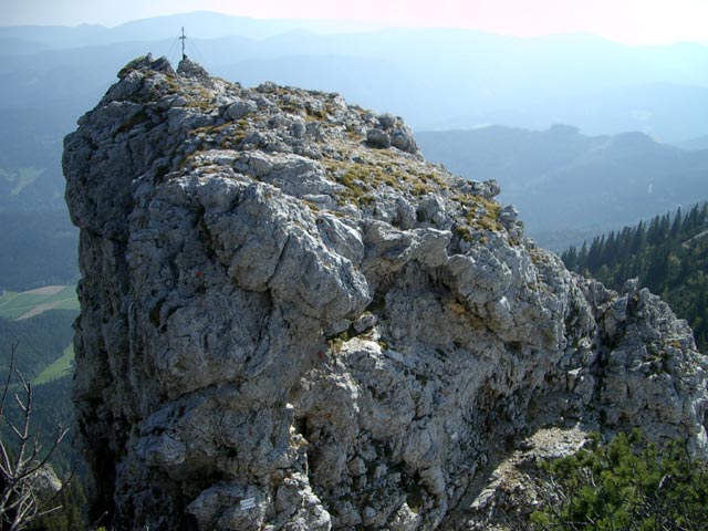 Törlkopf