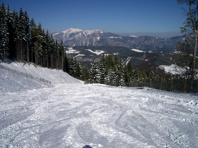 Familienabfahrt mit Schneeberg