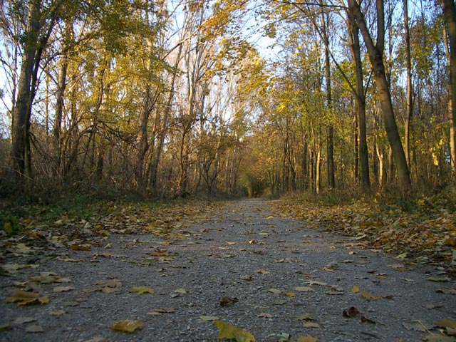 Untere Lobau