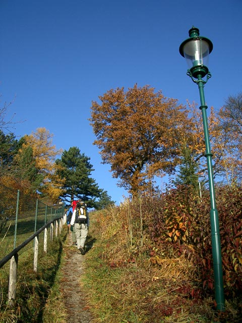 zwischen Payerbach und Schneedörfl