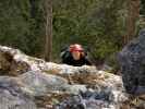 Grafenbergsteig: Carmen in der Grafenbergplatte (9. Seillänge)