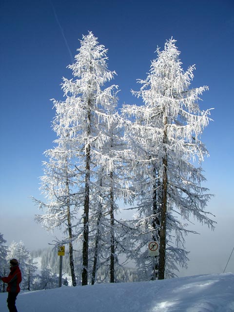 bei der Bergstation der Sonntagskogelbahn I (3. J&auml;n.)