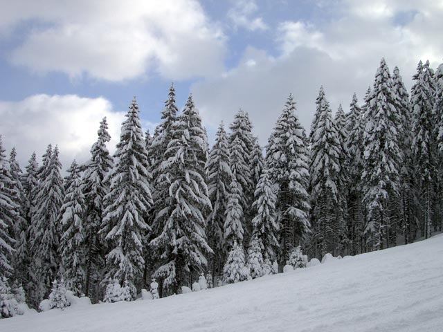 Abfahrt zur Wagrainer H&ouml;he (7. J&auml;n.)
