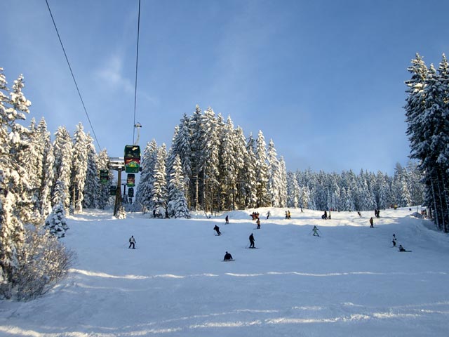 Flying Mozart (7. J&auml;n.)