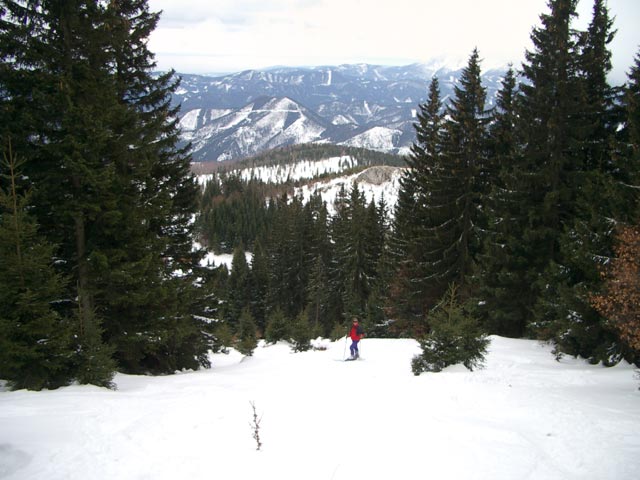 ehemalige Piste s&uuml;dlich des H&uuml;ttenhangs