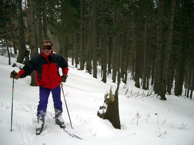 im Wald zwischen Karnerschlag und Silbergraben