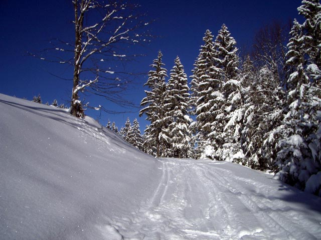 Schiweg zwischen Lehnereck und Fuchsenloch