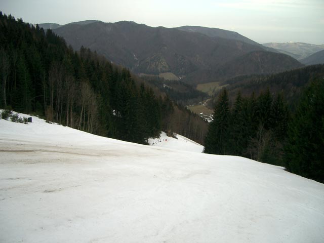 Gr&uuml;nau