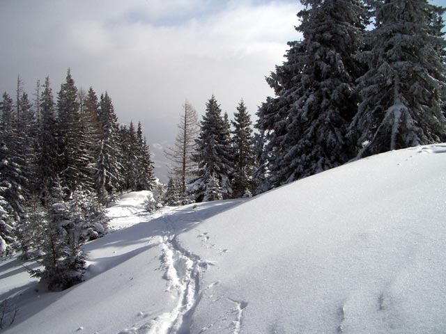 Sch&ouml;llerabfahrt