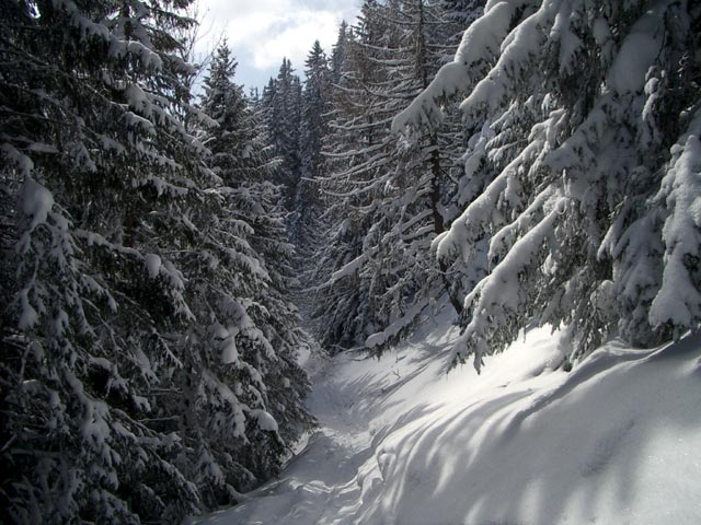 Sch&ouml;llerabfahrt