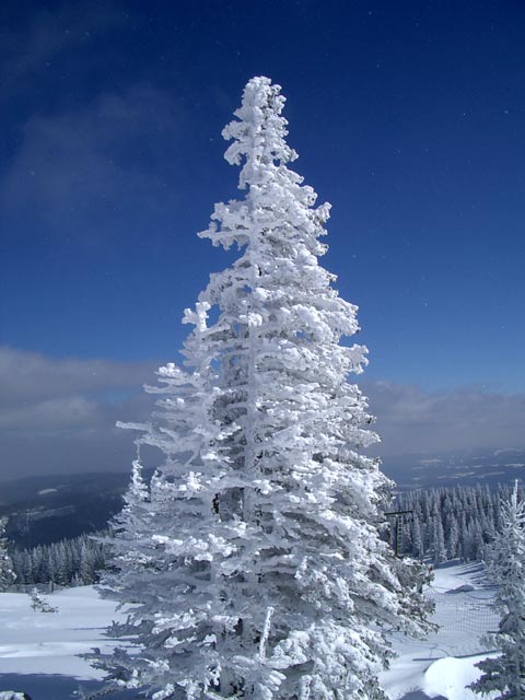 bei der Bergstation des Schilifts