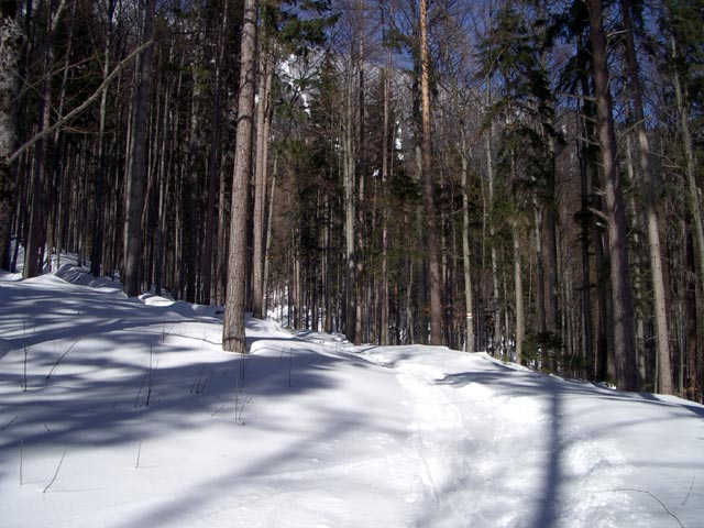 Sch&ouml;llerabfahrt