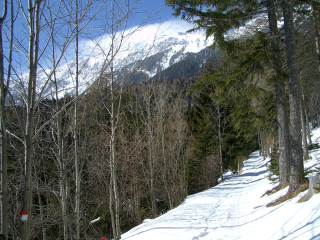 Sch&ouml;llerabfahrt