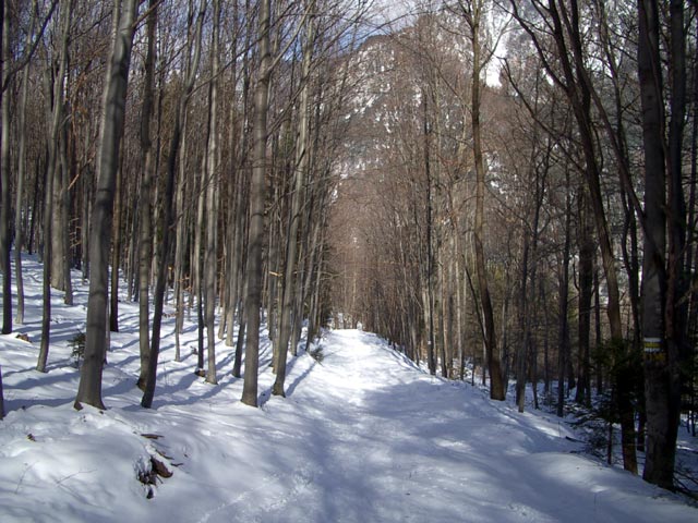 Sch&ouml;llerabfahrt