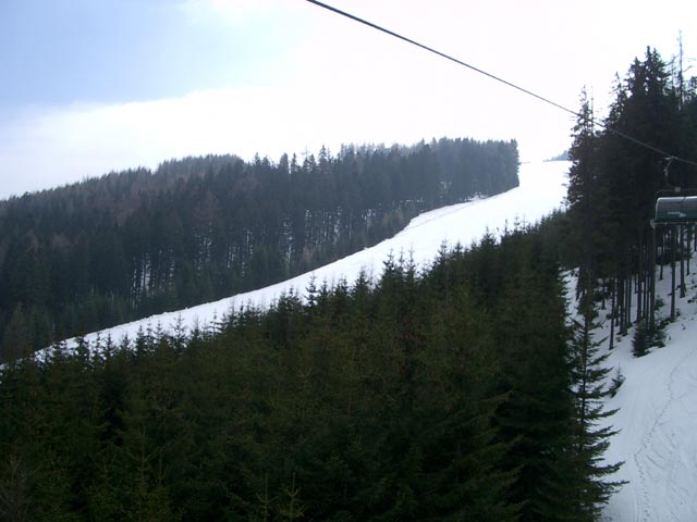 FIS-Abfahrt Kaltenbach