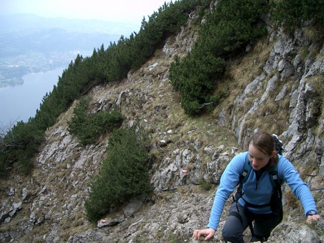 Hans-Hernler-Steig: Irene im Brandgraben