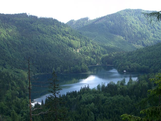 Hinterer Langbathsee vom Schafluckensteig aus (29. Mai)