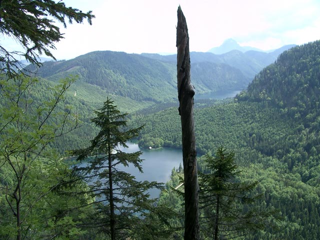 Hinterer Langbathsee und Vorderer Langbathsee vom Schafluckensteig aus (29. Mai)