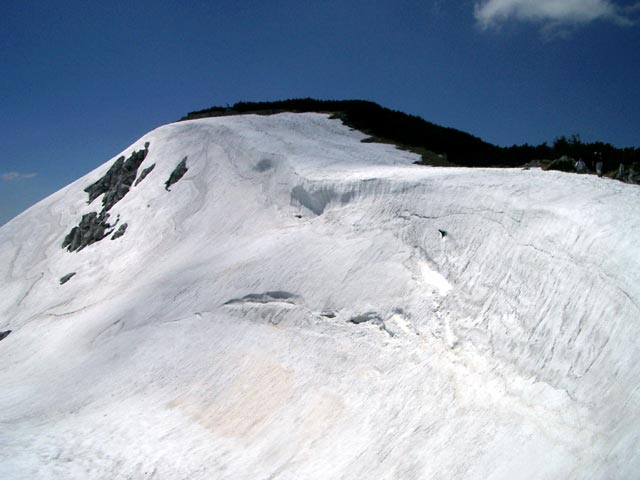 Gr&uuml;nalm Kogel (30. Mai)