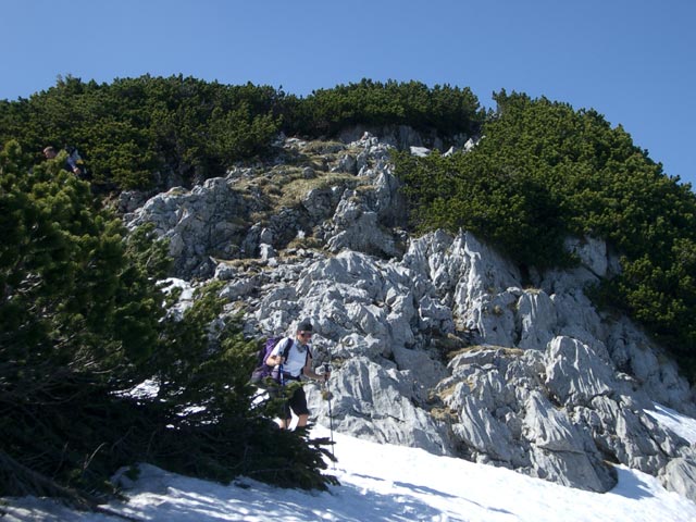 Gudrun am Weg 834 zwischen Eiblgupf und Vorderem Kesselgupf (30. Mai)
