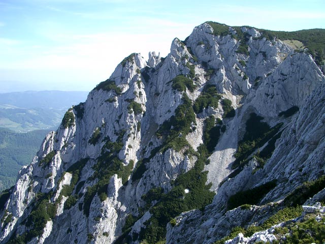 Alberfeld Kogel (31. Mai)