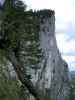 am Schafluckensteig (29. Mai)