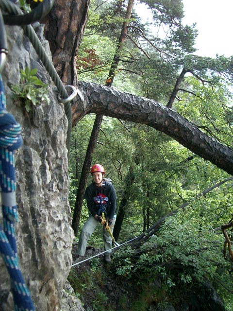 Felsblock aus dem ein Baum herausw&auml;chst