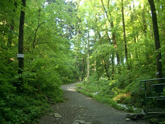 oberhalb der &Ouml;rflaschlucht