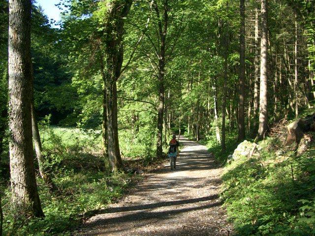 Carmen oberhalb der &Ouml;rflaschlucht