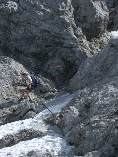 Gudrun zwischen der Riffl und Kreuzkogel (10. Juni)