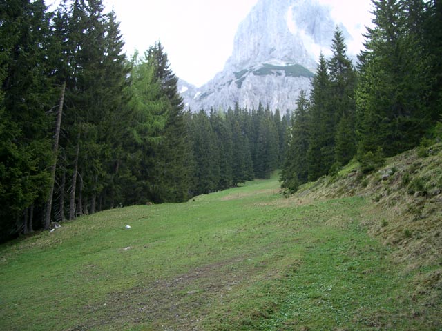 ehemalige Schipiste bei der Oberst Klinke-H&uuml;tte (11. Juni)