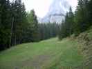 ehemalige Schipiste bei der Oberst Klinke-Hütte (11. Juni)