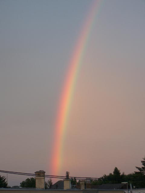 Regenbogen &uuml;ber S&uuml;&szlig;enbrunn (15. Juni)