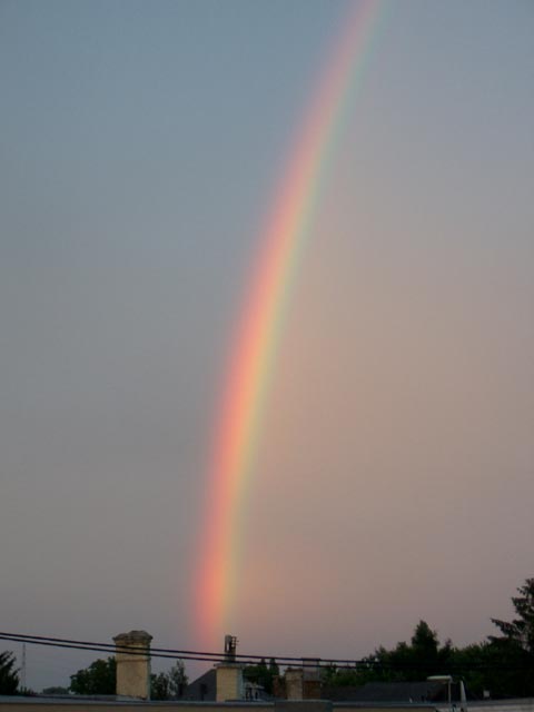 Regenbogen über Süßenbrunn (15. Juni)