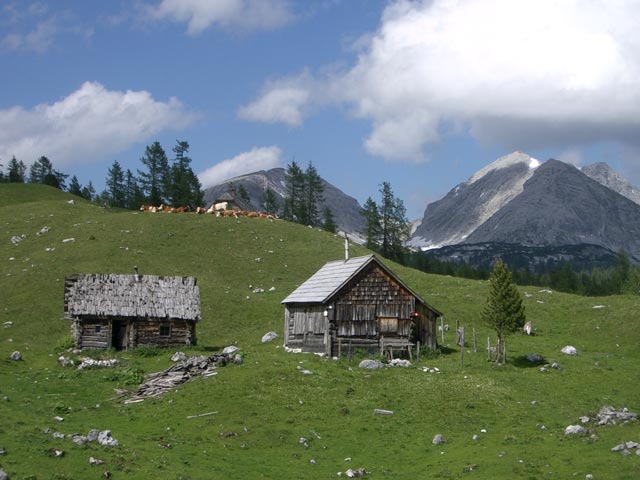 Brunnalm, 1.778 m (4. Juli)