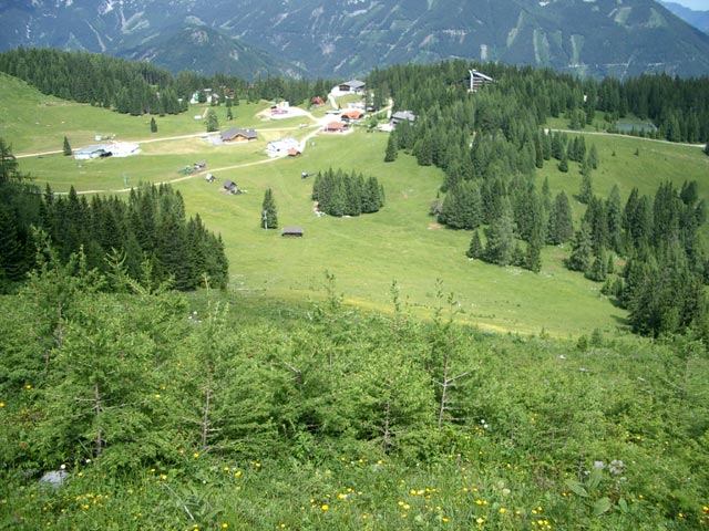 L&auml;rchenhang (5. Juli)