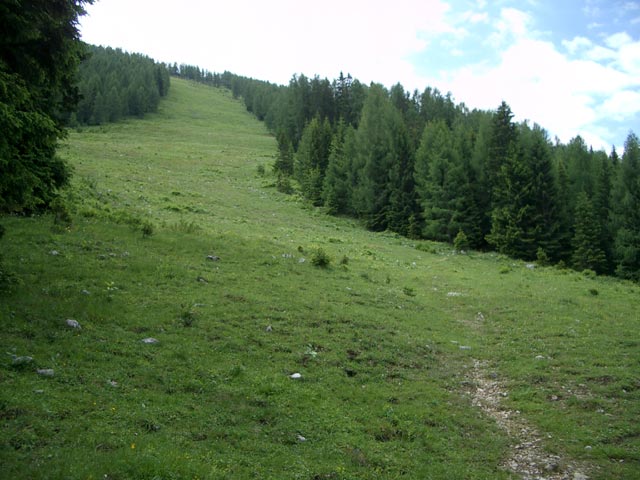 H&ouml;sskogelabfahrt (5. Juli)