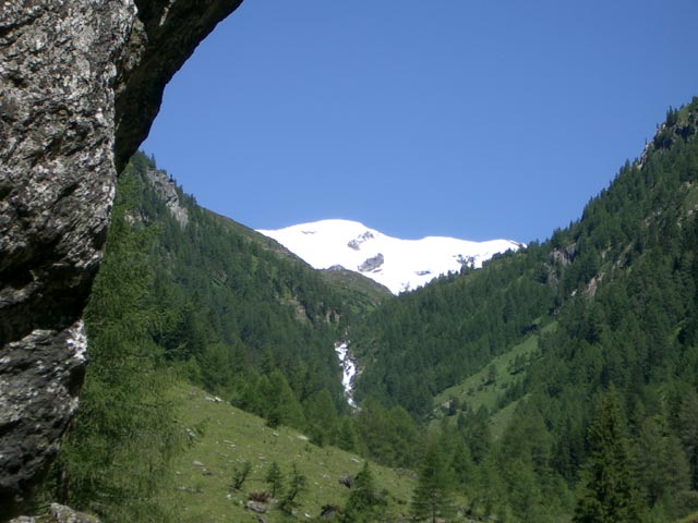 Maurerkeesköpfe von der Göriacher Alm aus (17. Juli)